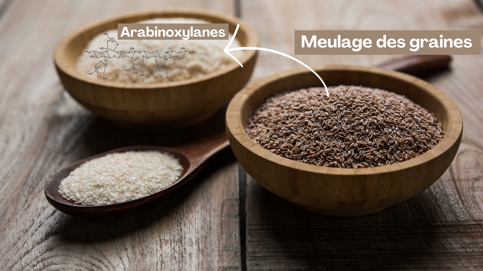 Mucilage du psyllium blond extrait du tégument par meulage